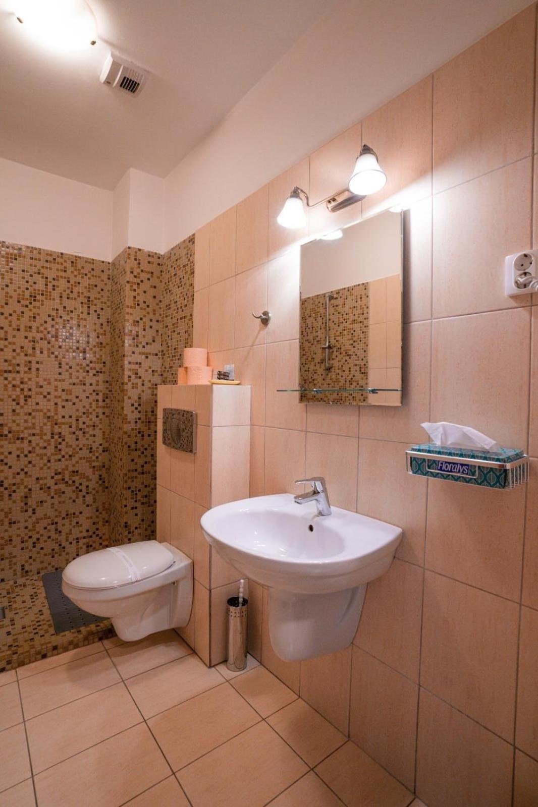Pensiunea Gasthaus Alte Post Sighisoara Luaran gambar