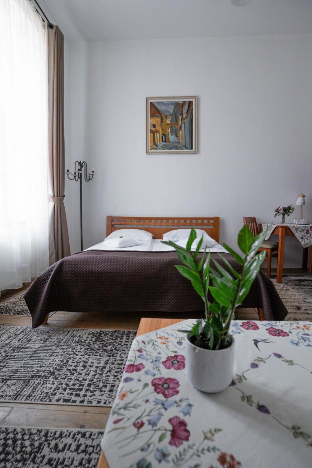 Pensiunea Gasthaus Alte Post Sighisoara Luaran gambar