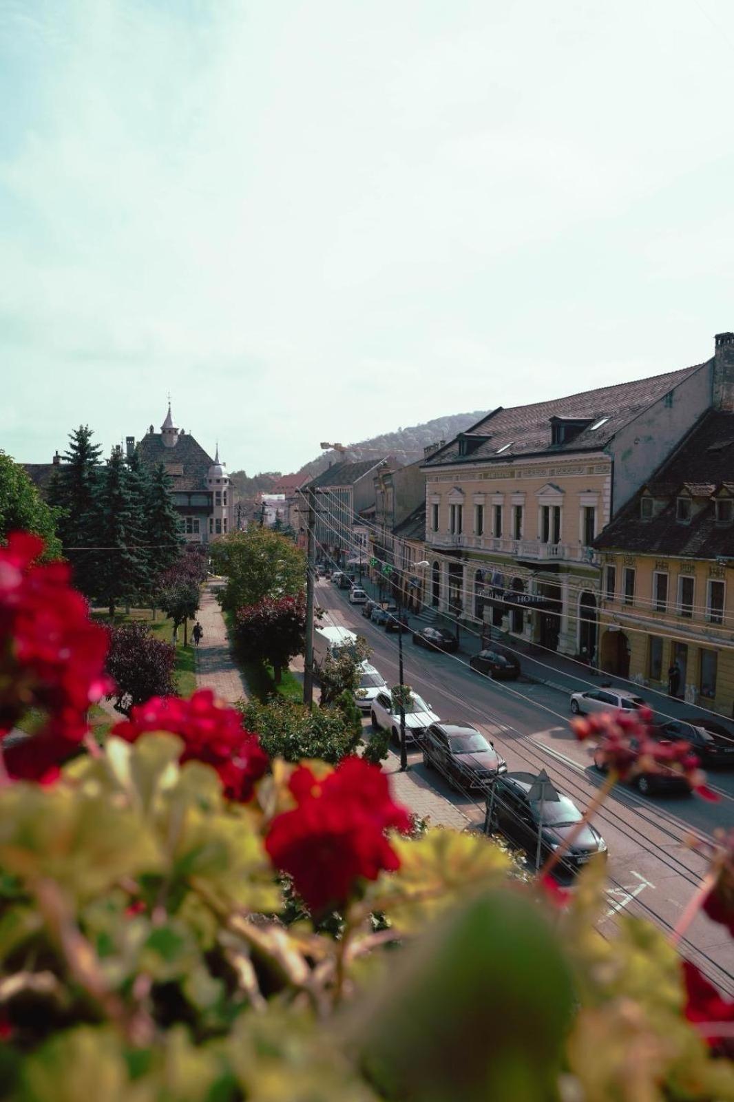 Pensiunea Gasthaus Alte Post Sighisoara Luaran gambar